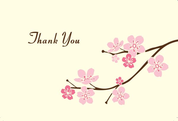 Blossom Branches Thank You Note Card - 50 Count