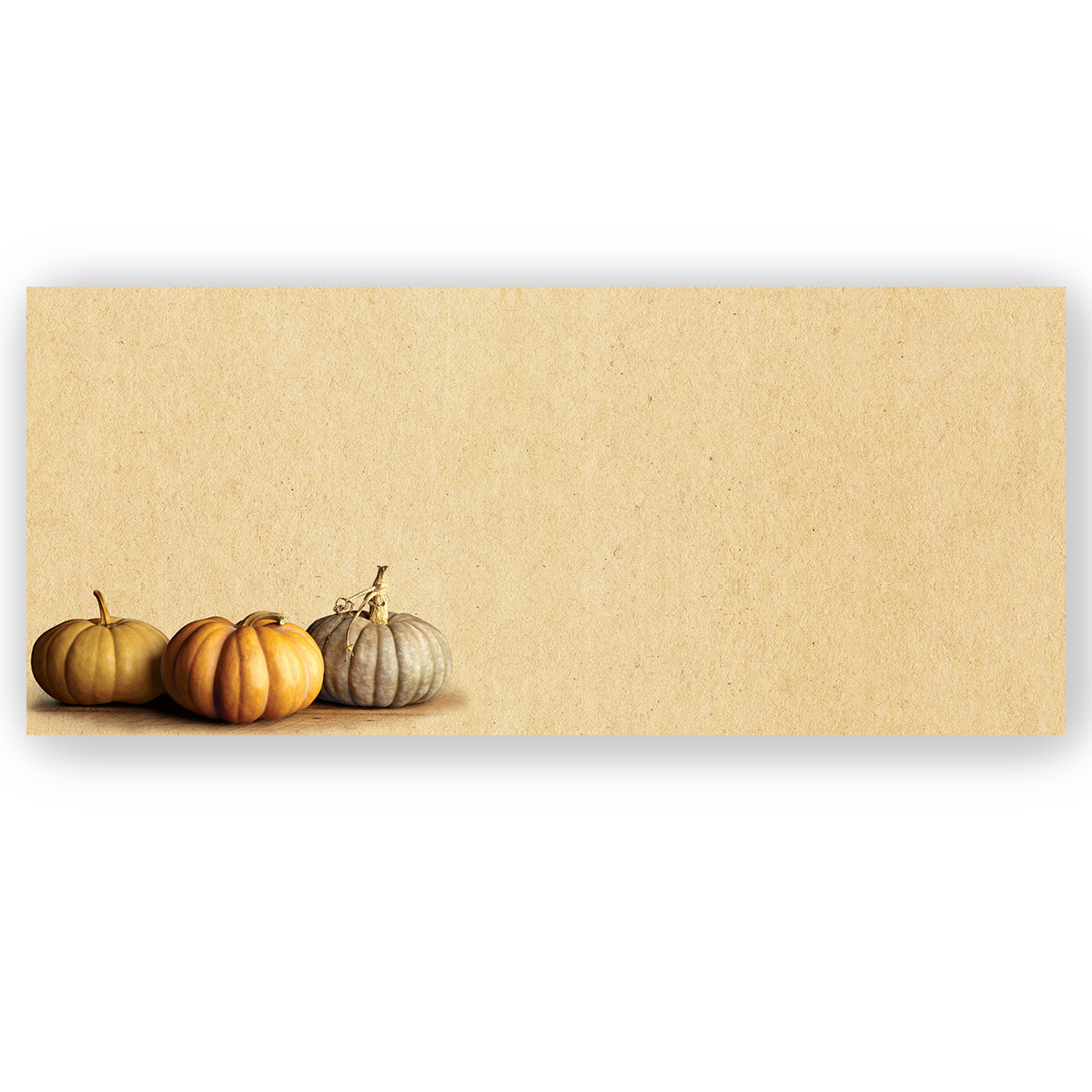 Fall Pumpkins #10 Envelope - 25 Count